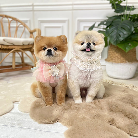 J&J 蕾絲斗篷系列-立方花斗篷白色：均碼-MorPetPet